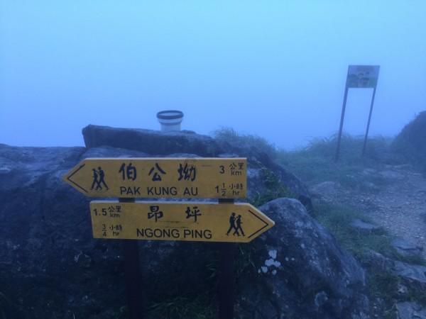 迷你罗梅开二度,帮助利雅得胜利梯队3比1击败达曼协作梯队